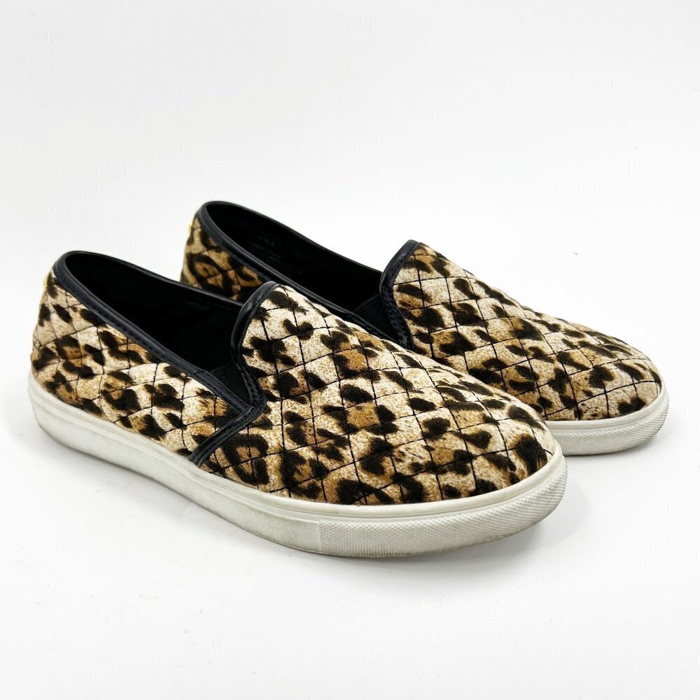 ✅ STEVE MADDEN‎ CHEETAH SLIP ON SNEAKERS SIZE 5